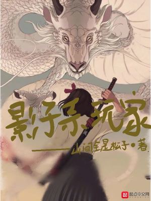 影子系统?
