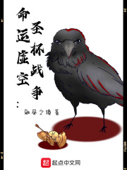 圣杯命运之夜
