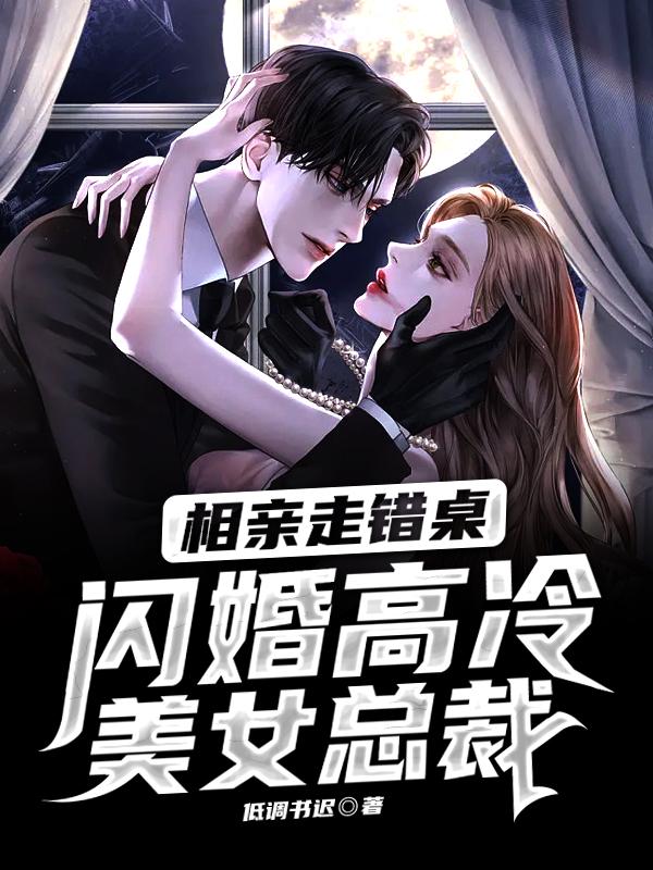 闪婚高冷美女总裁中林清玄