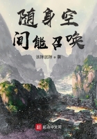 随身空间能召唤TXT