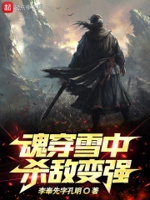 魂穿雪中杀敌变强TXT