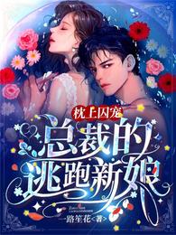 枕上囚宠总裁的逃跑新娘完本