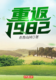 重返1982小渔村免费阅读