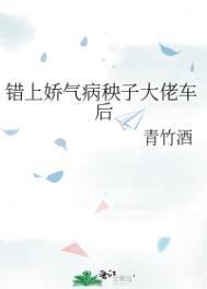 错上娇气病秧子大佬车后介绍