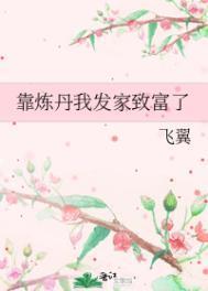 靠炼丹我发家致富了作者飞翼