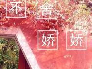 不舍娇娇古言免费阅读