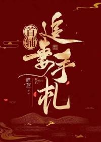 首辅追妻手札TXT