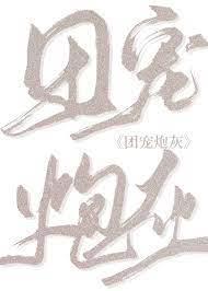 七零小团宠七宝