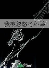 我被忽悠考科举免费阅读27