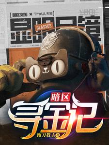 寻金记完整版