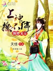 强势宠爱上神撩不停