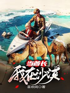 我在沙漠有座城txt免费
