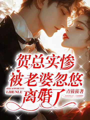 贺总是那个电视剧
