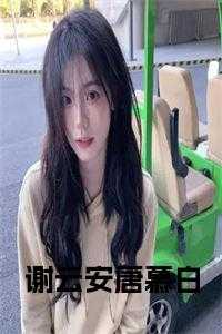 主角是谢安