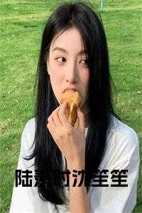 女主陆笙