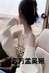电视剧男主叫时孟