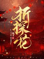 折探花结局有孩子了么