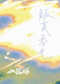 贩卖春光作者小花喵