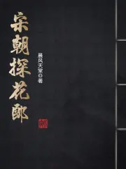 宋朝探花郎免费阅读