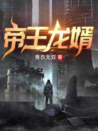 帝王龙婿叶锋视频全集
