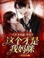 江晚盛庭枭短剧全集免费