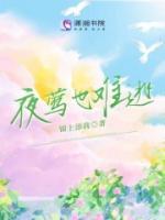 沈初沈安安免费阅读