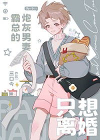 霸总的炮灰男妻只想离婚+番外