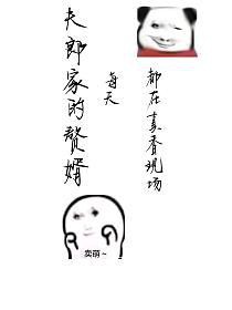 夫郎是个恋爱脑文学网