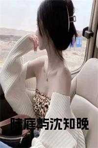 有个男主叫陆庭深