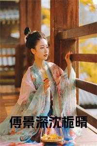 沈栀晴傅景深苗洛浅名字