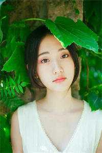 21款宝来带行车记录仪吗