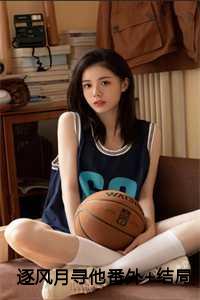 追风逐月怎么解释