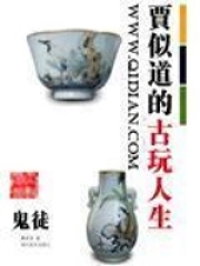 贾似道的古玩人生TXT免费