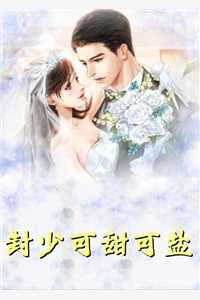 苏时砚沈意安大结局完整版