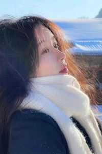 女主洛凤幽