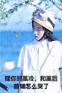 和离后首辅怎么哭了女主和谁在一起了