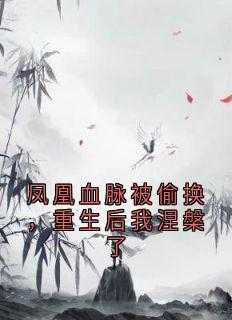 女主云洛夕男主风临渊