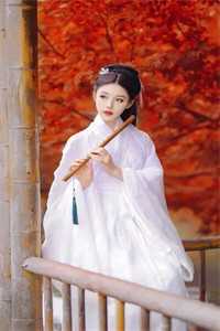 男主方辰苏婉儿
