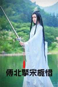 傅北臻段时