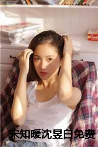 宋遇沈知砚免费阅读