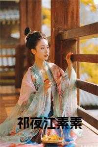 祁夜江素素全集免费阅读