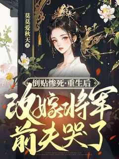 舒虞的女主纪远舟
