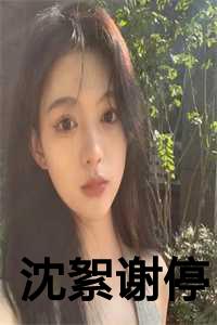 沈絮谢停全文免费