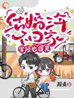 结婚三年他不曾回家
