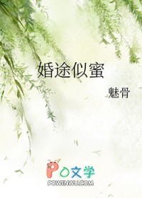 婚途似锦久违了前妻