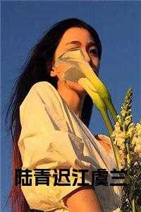 江澈 虞晚