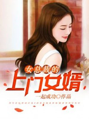女总裁的上门女婿叶不凡唐飞雪