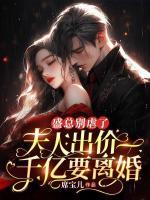沈湛盛苒南书百城