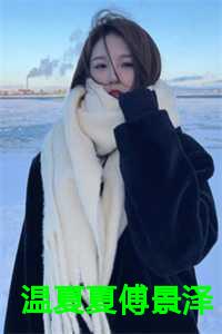 男主叫傅景琛的女主姓夏