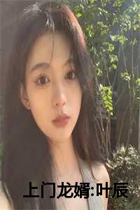 上门龙婿叶辰什么时候公开身份